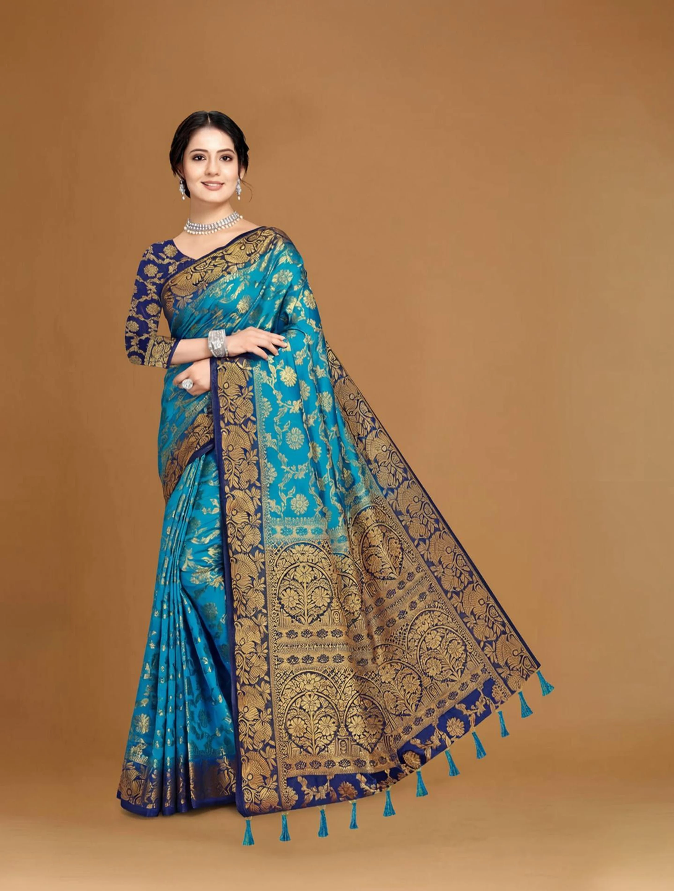 Woven Banarasi Cotton Silk Saree (Blue)